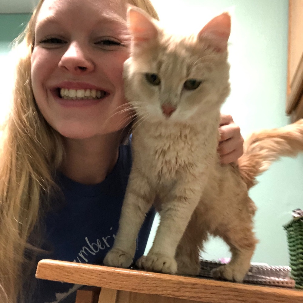 Meet your Posher, Kassidy